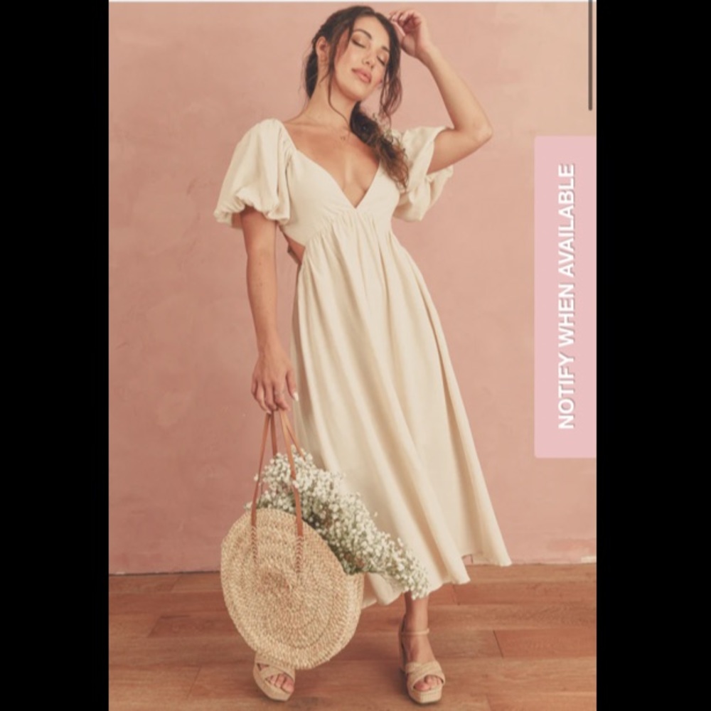 ISO - NOT FOR SALE - Romance of the Garden Dress by Breath of Youth